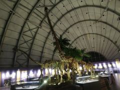 -辽宁古生物博物馆