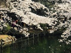 -井之头恩赐公园