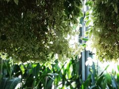 -华南国家植物园-售票处