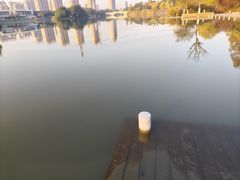 -九里河湿地公园