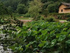 -韶山毛泽东同志故居