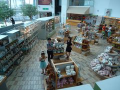 -济州岛泰迪熊博物馆