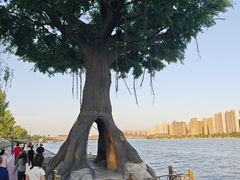 -咸阳湖景区