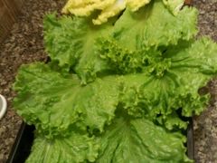 -韩罗苑(万象城店)