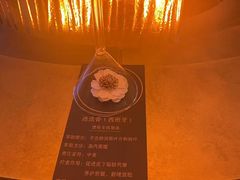 -舒小悦·舒养SPA·古法推拿(光环中心店)