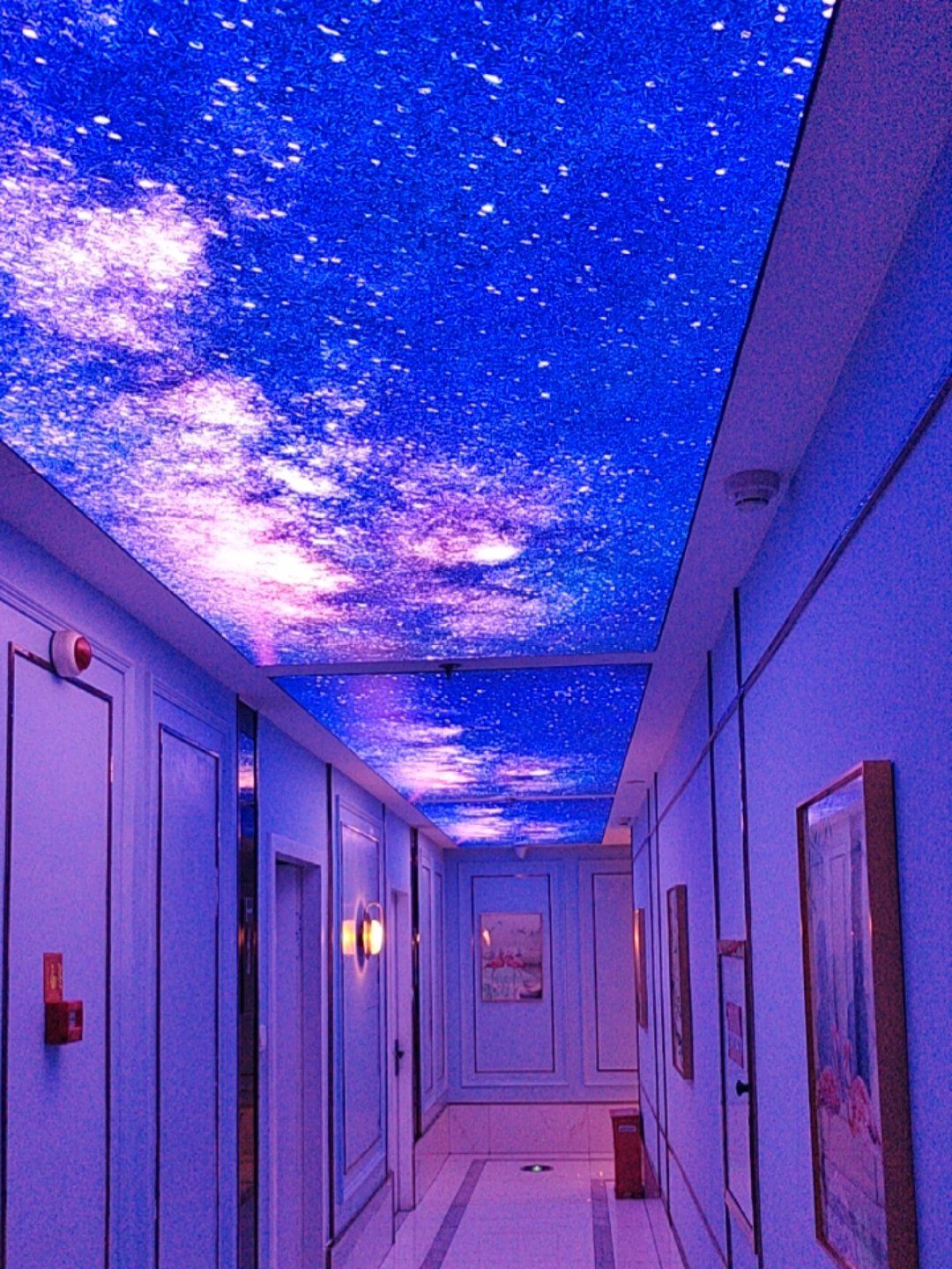 蓉府金足印象总店星空顶