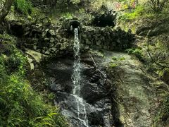 -宁波市保国寺古建筑博物馆