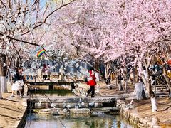-三里河公园