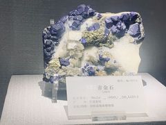 -湖南省地质博物馆