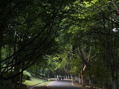 -宜兴龙背山森林公园