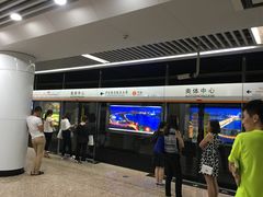 -奥体中心(地铁站)