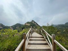 -大岭沟猕猴桃谷风景区