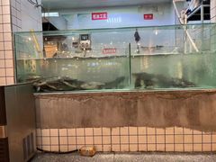 -赵大妖·活鱼现烤(天水店)