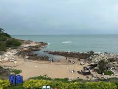 -广东惠东海龟国家级自然保护区