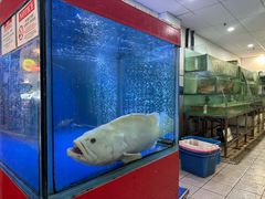 -大茄来海鲜餐厅(亚洲城分行)
