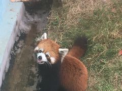 -无锡动物园·太湖欢乐园