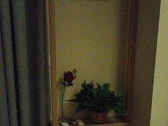 -养心阁足道馆(火宫殿一店)