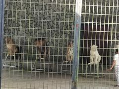 -贵州森林野生动物园