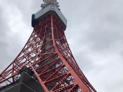 -东京塔海贼王主题公园