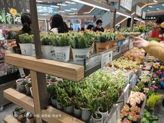 -鹿岛生活(熙地港店)