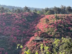 -木兰云雾山