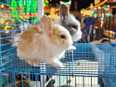 -万达广场(泰安泰山店)