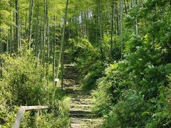 -山沟沟景区