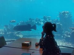 -海棠湾洲际-涛·海底餐厅·美人鱼·自助餐·海底隧道