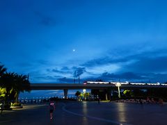 -宝安西湾红树林湿地公园