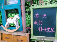 -懒鱼时光馆(沙坪坝店)