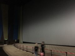 -天幕新彩云国际影城(激光巨幕店)