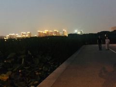 -尚贤河湿地