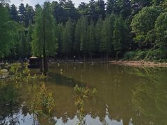 -广州市帽峰山景区
