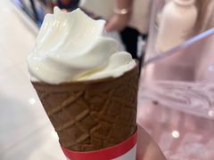 -富豪雪糕车流动点(尖沙咀店)