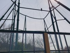 -无锡动物园·太湖欢乐园