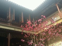 android_upload_pic-苏州文旅花间堂·探花府酒店