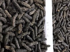 -海勤盛海味干货市场