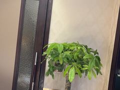 -沪碟·精菜坊(闵行店)