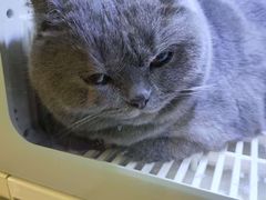 -沐沐家宠物(成寿寺店)