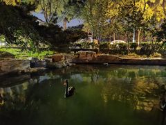 -三里河公园
