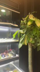 -鼎极摄影(世纪金源店)