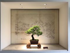 -扬州大运河文化旅游度假区·盆景园