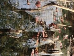 -滨河世纪广场公园
