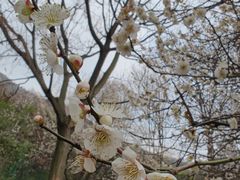 -宝岩生态观光园