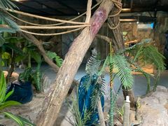 -海合安武汉极地海洋公园