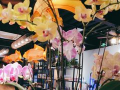 -向川南·水煮鱼·川菜(和平里店)