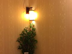 -智慧盲人按摩艾灸-颈肩腰膝疼痛调理(浦东店)