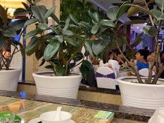 大堂-椿记烧鹅(北门店)