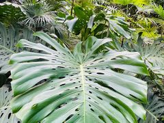 -石家庄市植物园