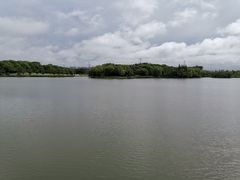 -昆山城市生态森林公园